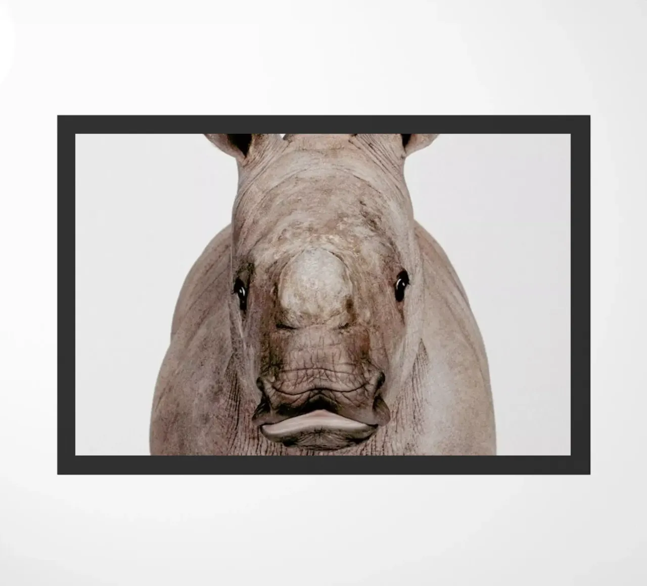 Rhino zerbino da Paws & Claws