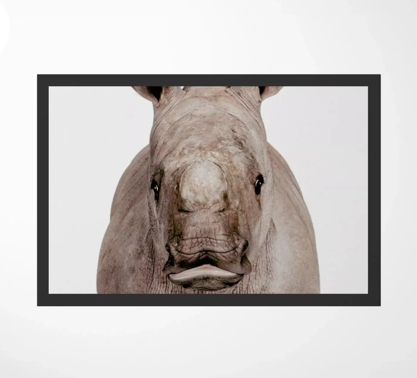 Rhino zerbino da Paws & Claws