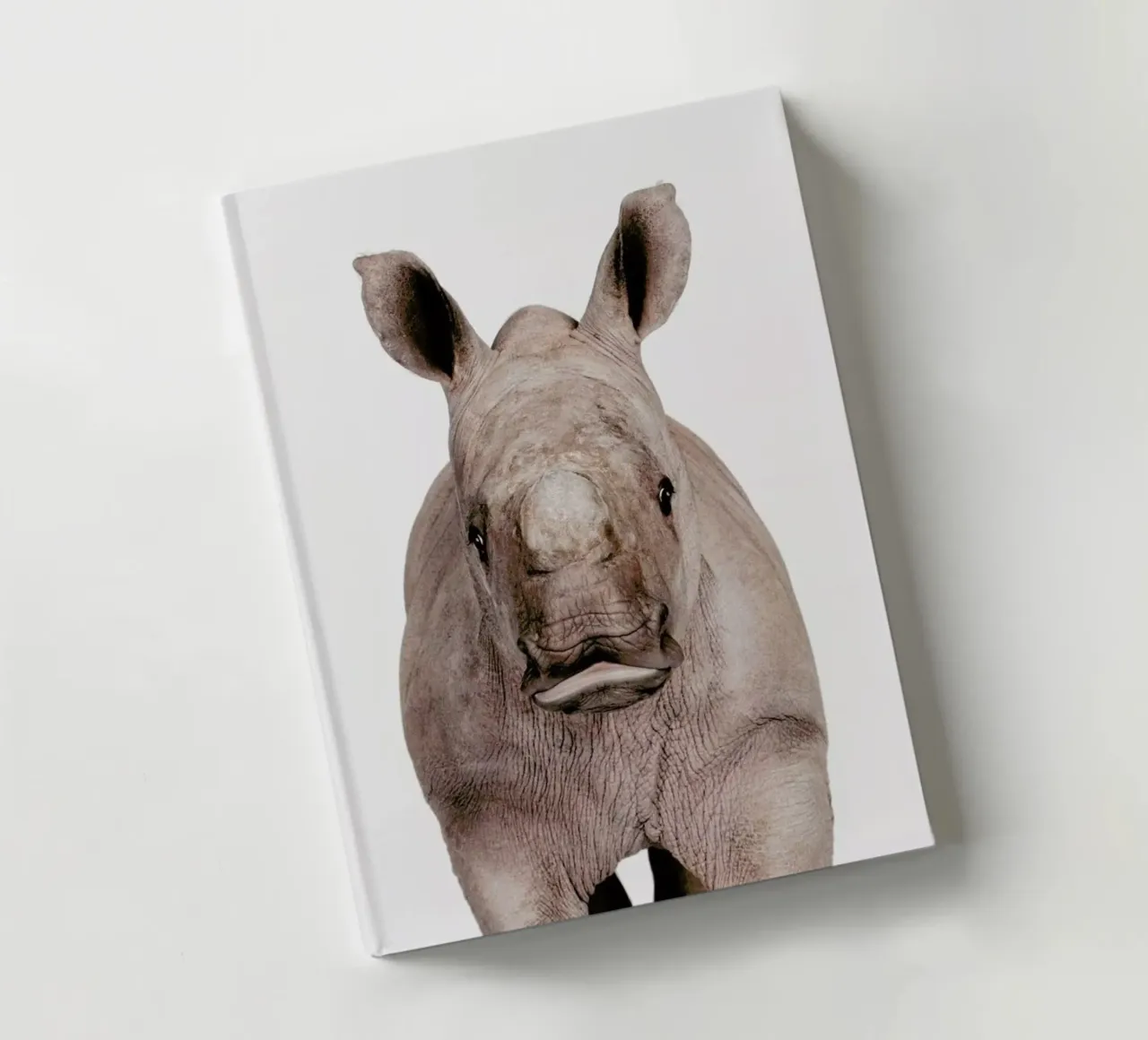 Rhino notebook by Paws & Claws