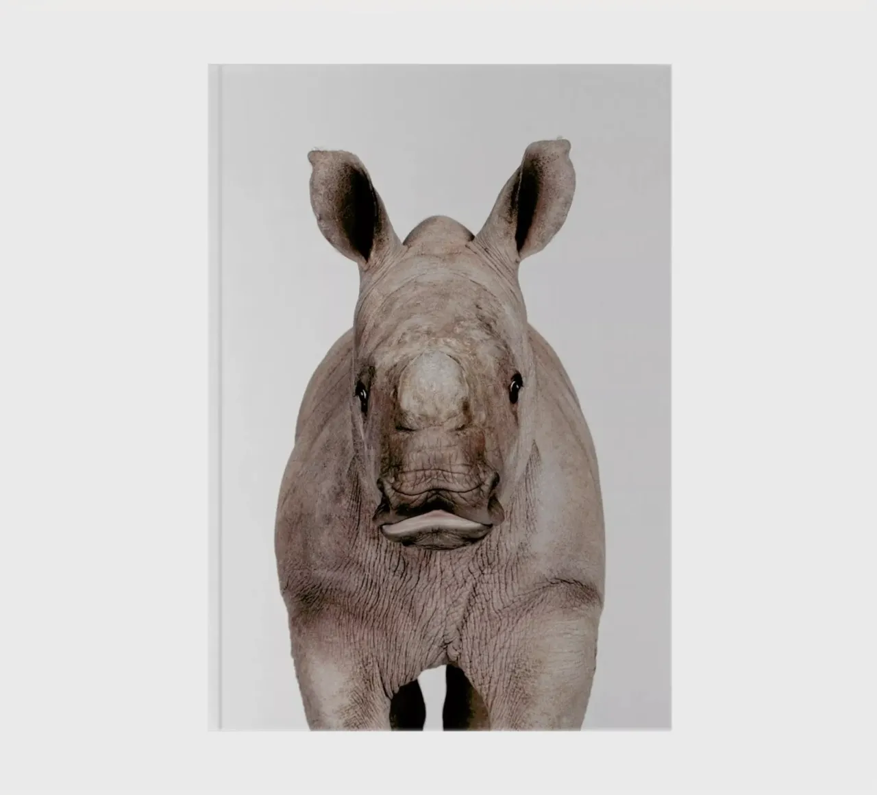 Rhino notebook by Paws & Claws