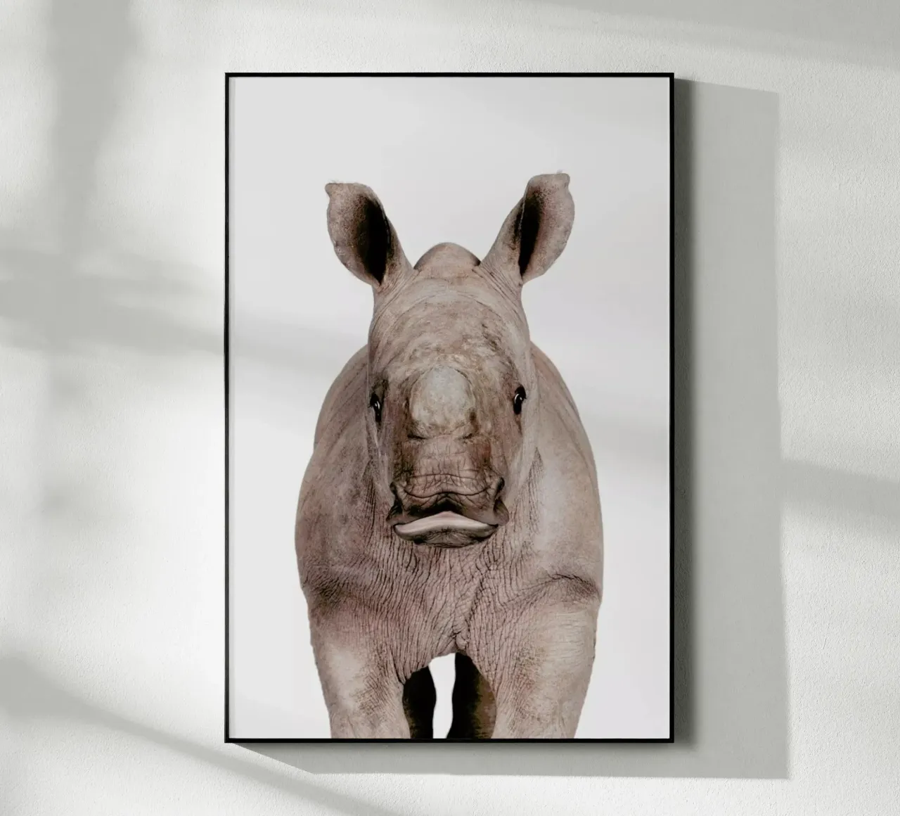 Rhino plexiglass da Paws & Claws