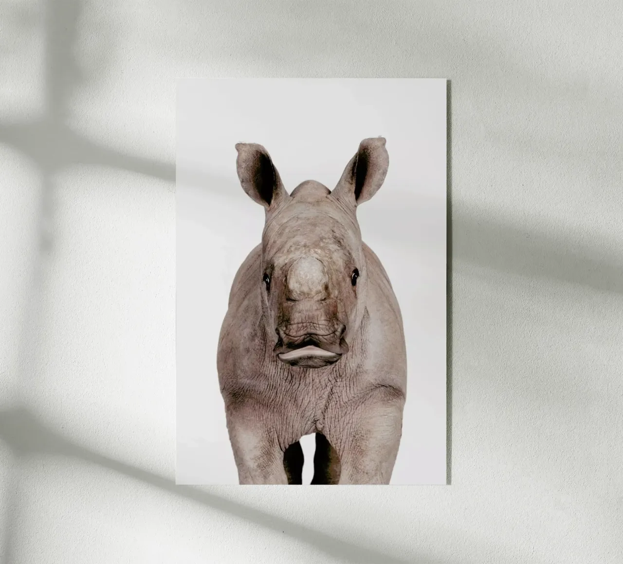 Rhino plexiglass da Paws & Claws