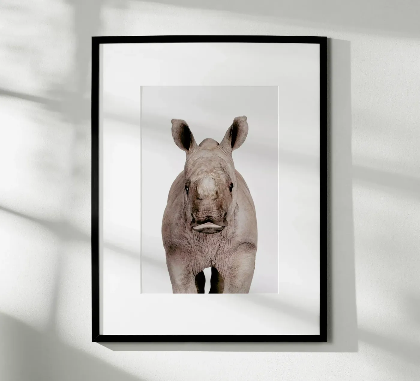 Rhino poster by Paws & Claws