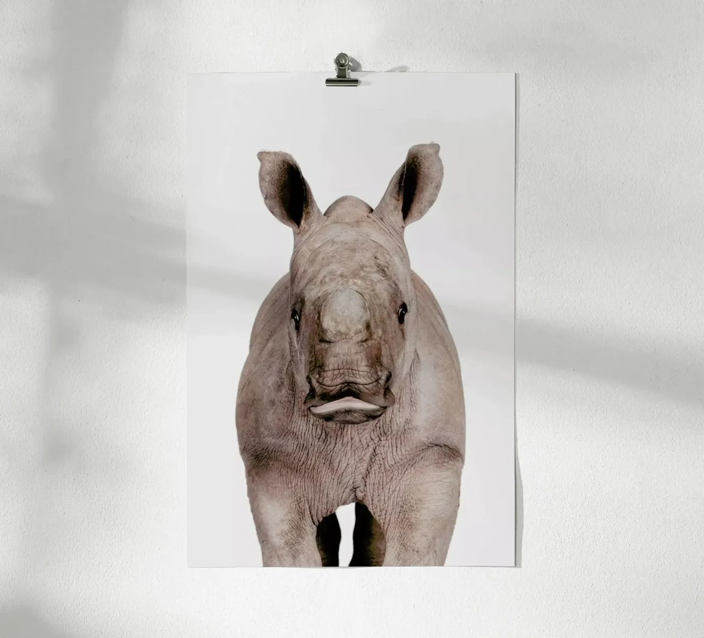 Rhino poster by Paws & Claws