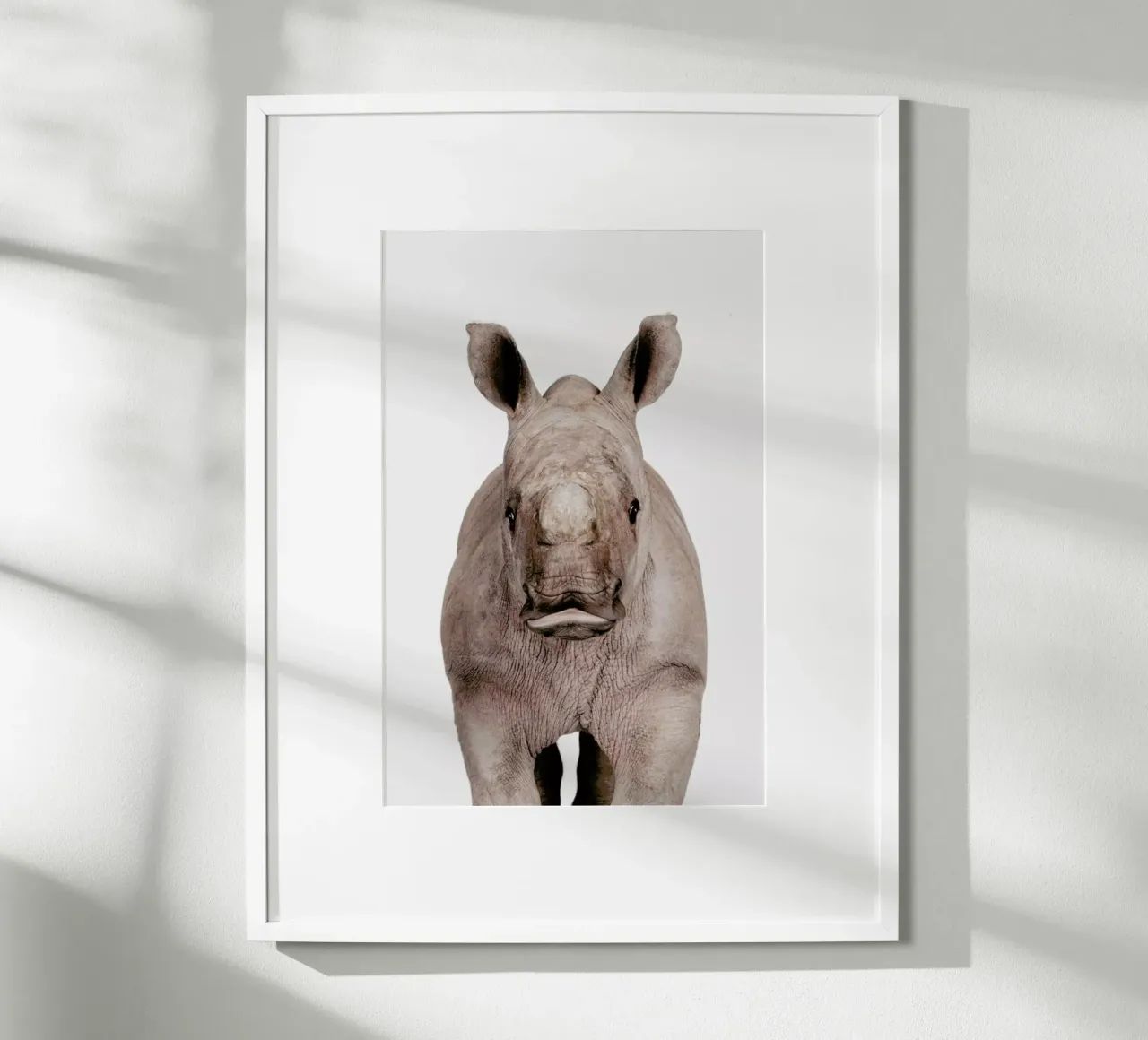 Rhino poster da Paws & Claws