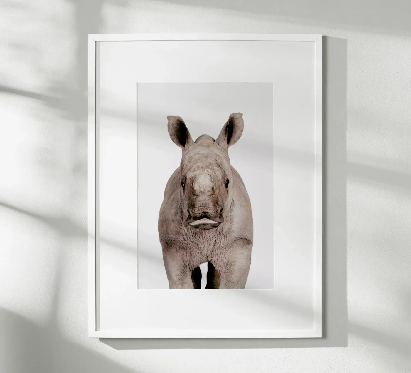 Rhino poster by Paws & Claws