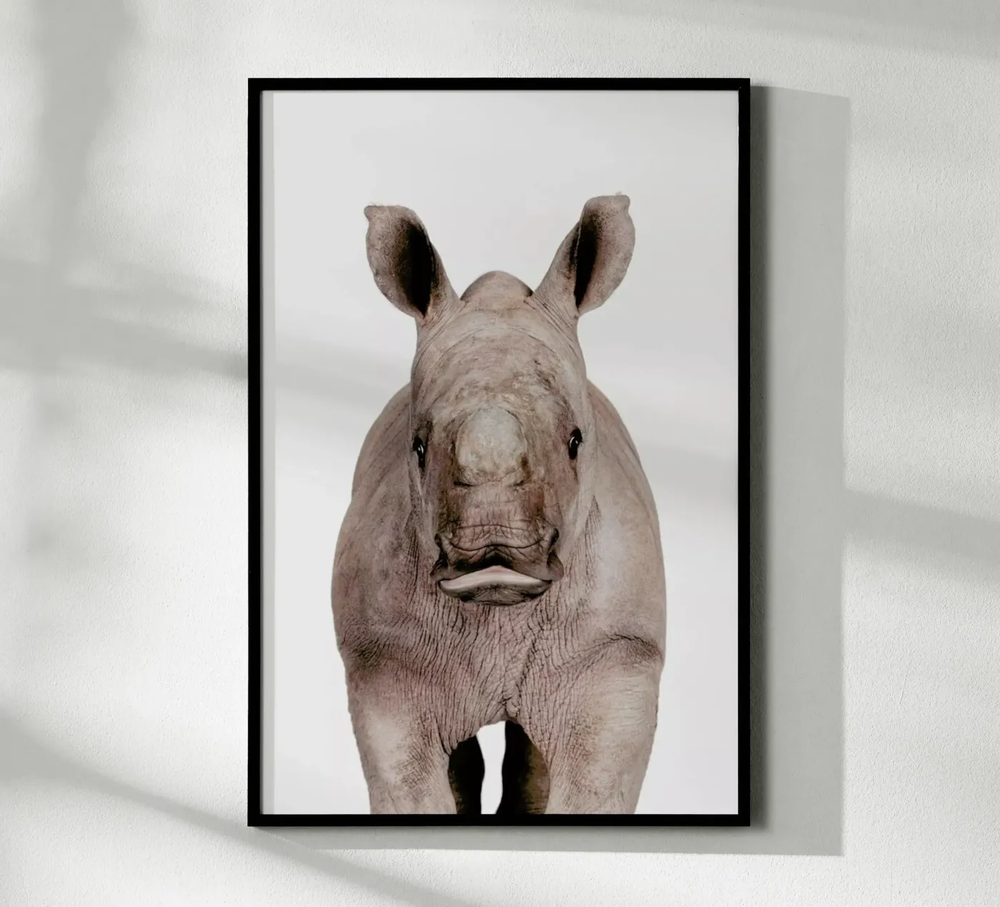 Rhino poster by Paws & Claws