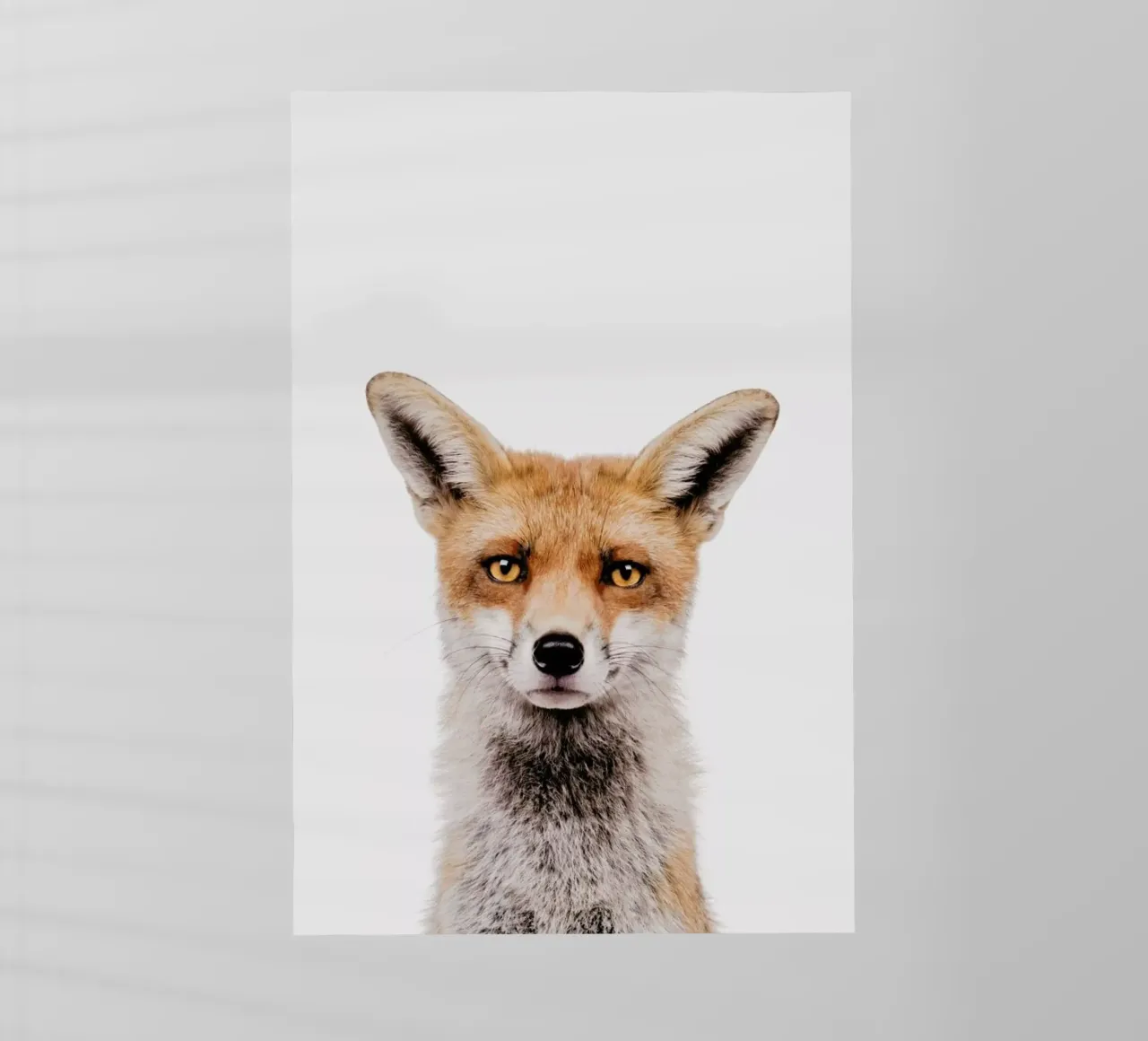 Fox pellicola backlit da Paws & Claws