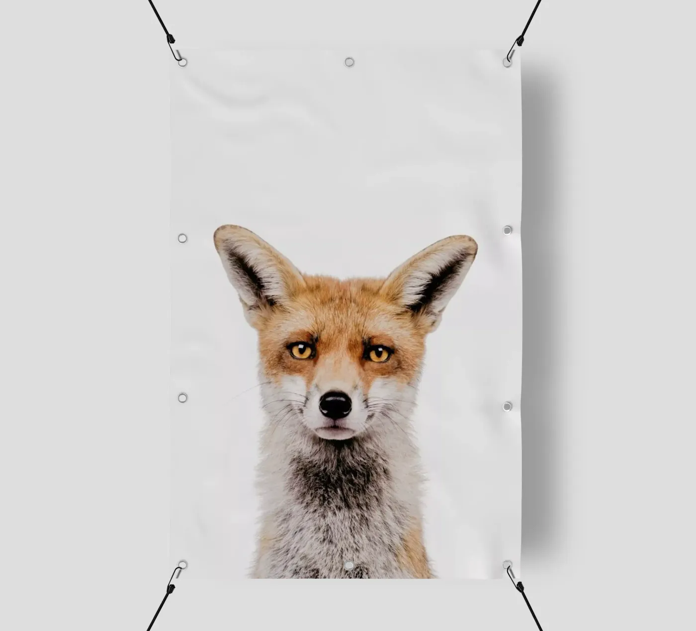 Fox telo in pvc da Paws & Claws