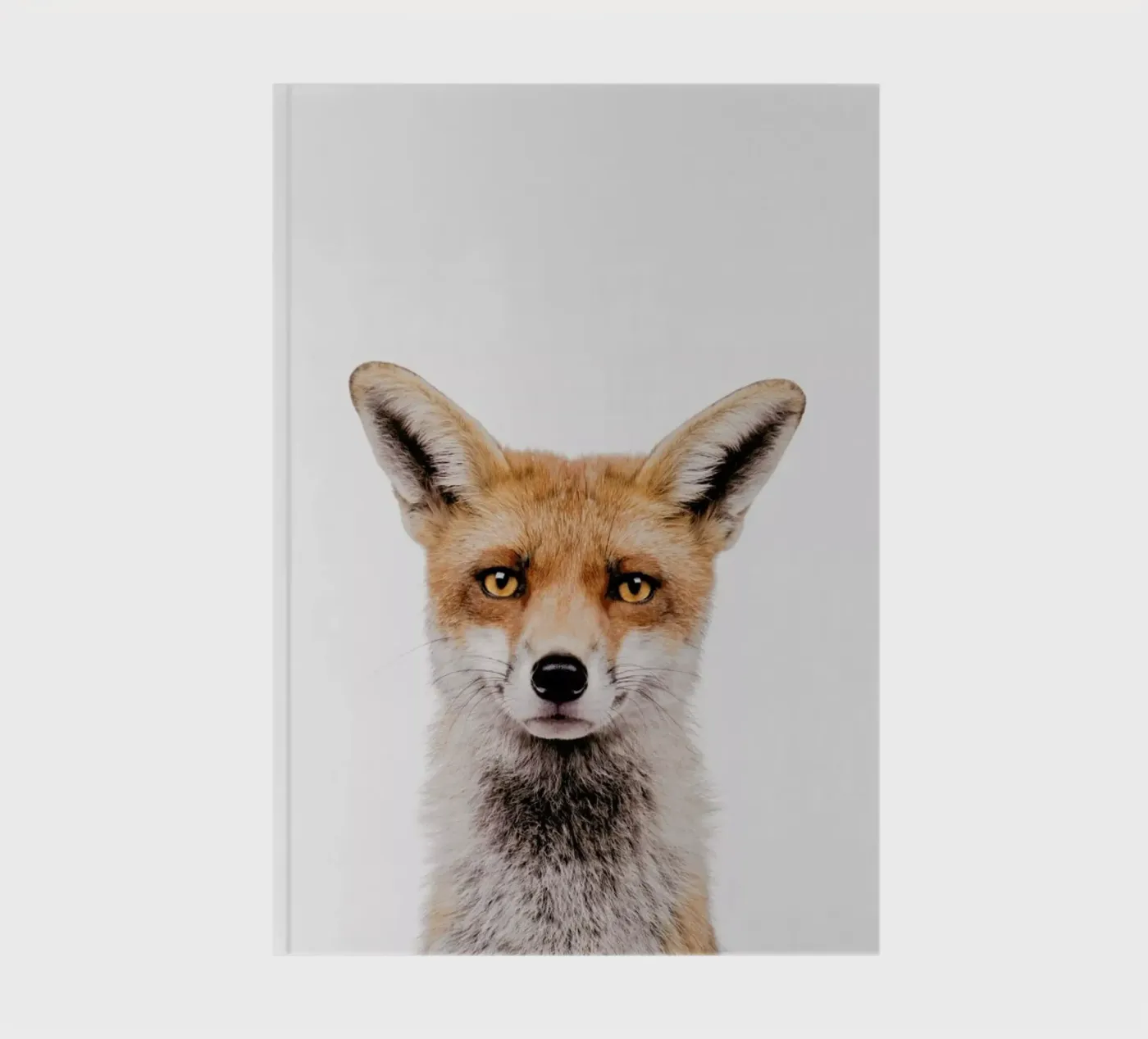 Fox notebook by Paws & Claws