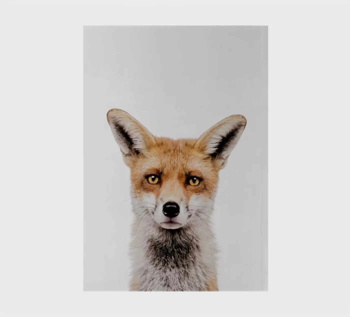 Fox notebook by Paws & Claws