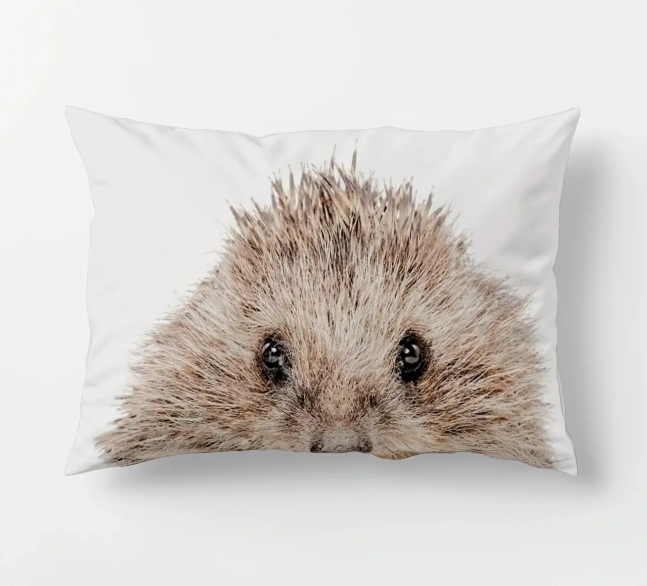 Hedgehog cuscino da Paws & Claws