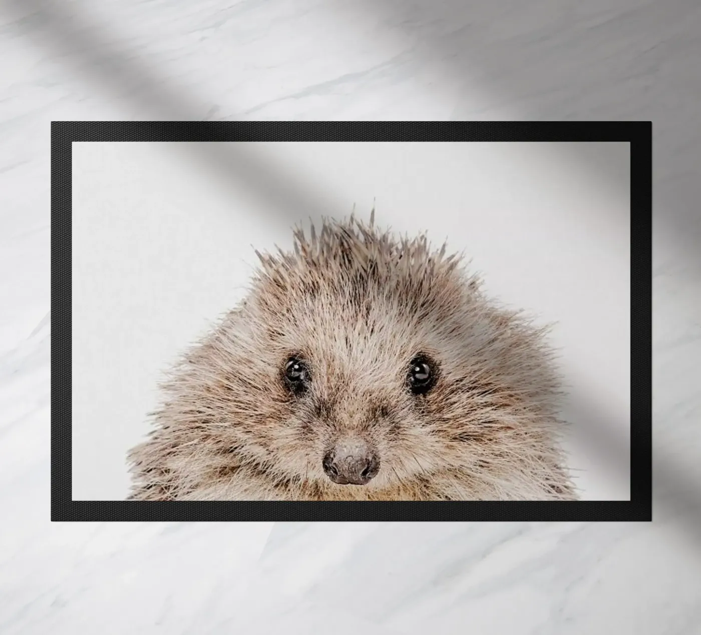 Hedgehog deurmat van Paws & Claws