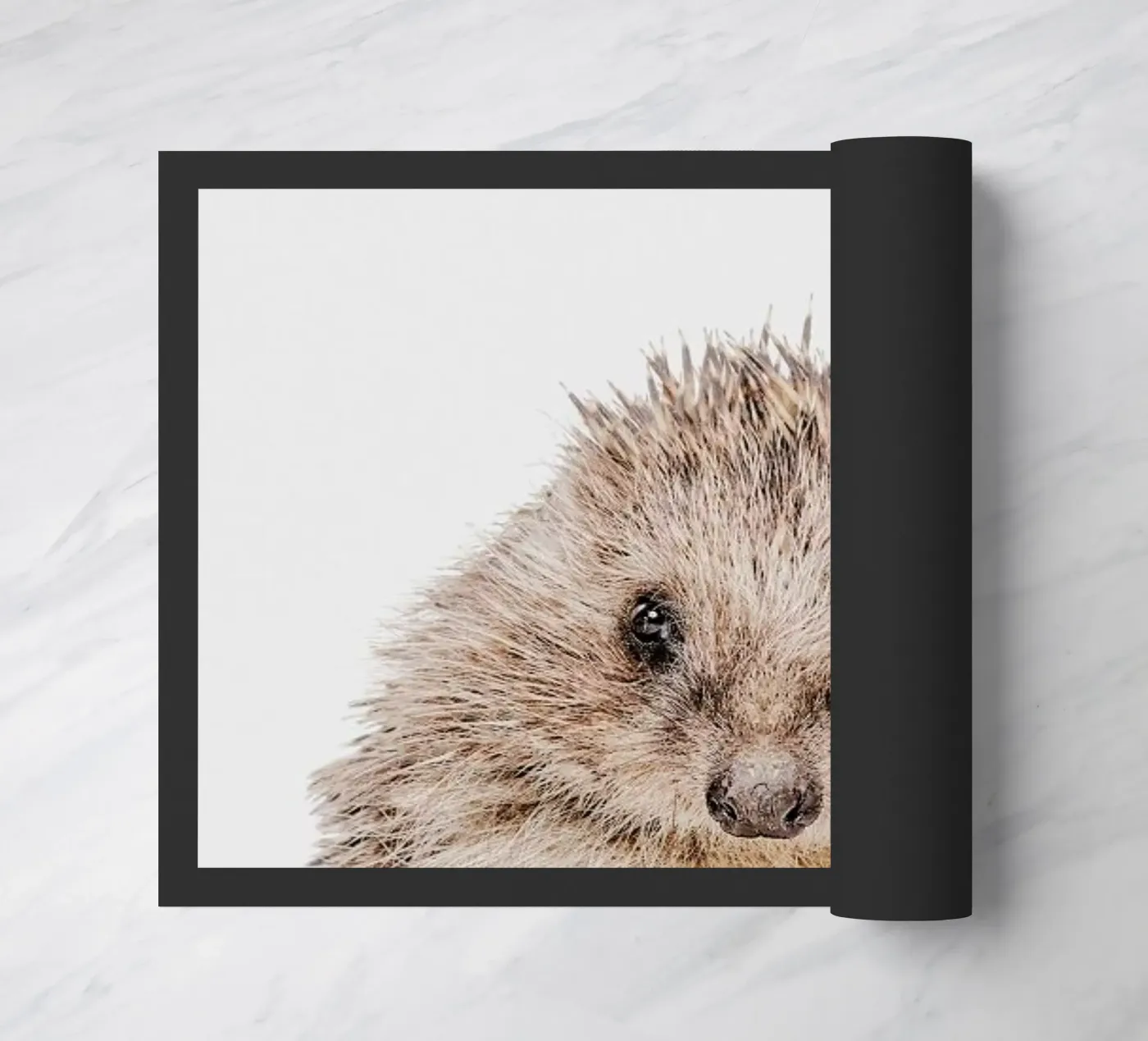 Hedgehog deurmat van Paws & Claws