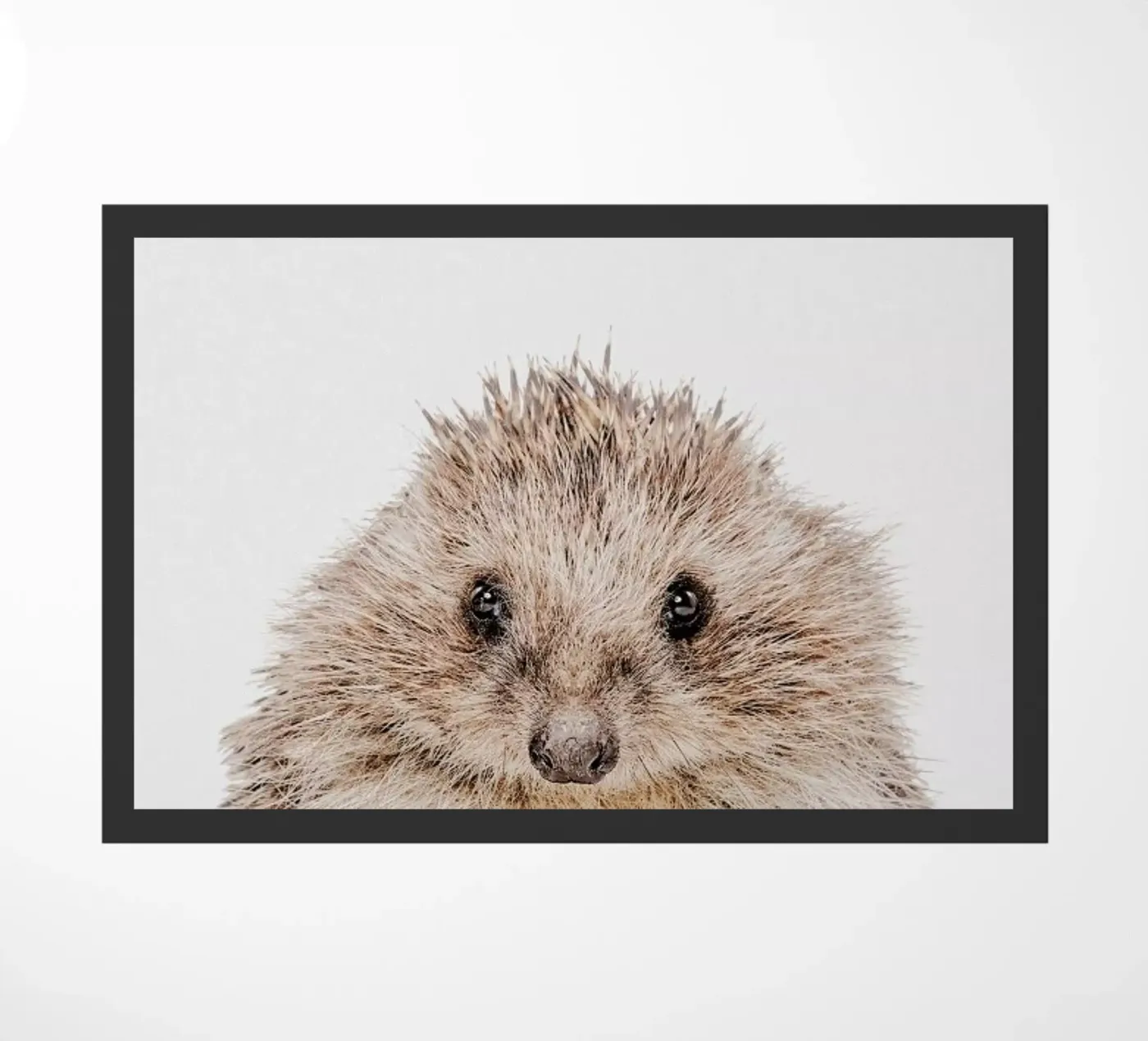 Hedgehog deurmat van Paws & Claws