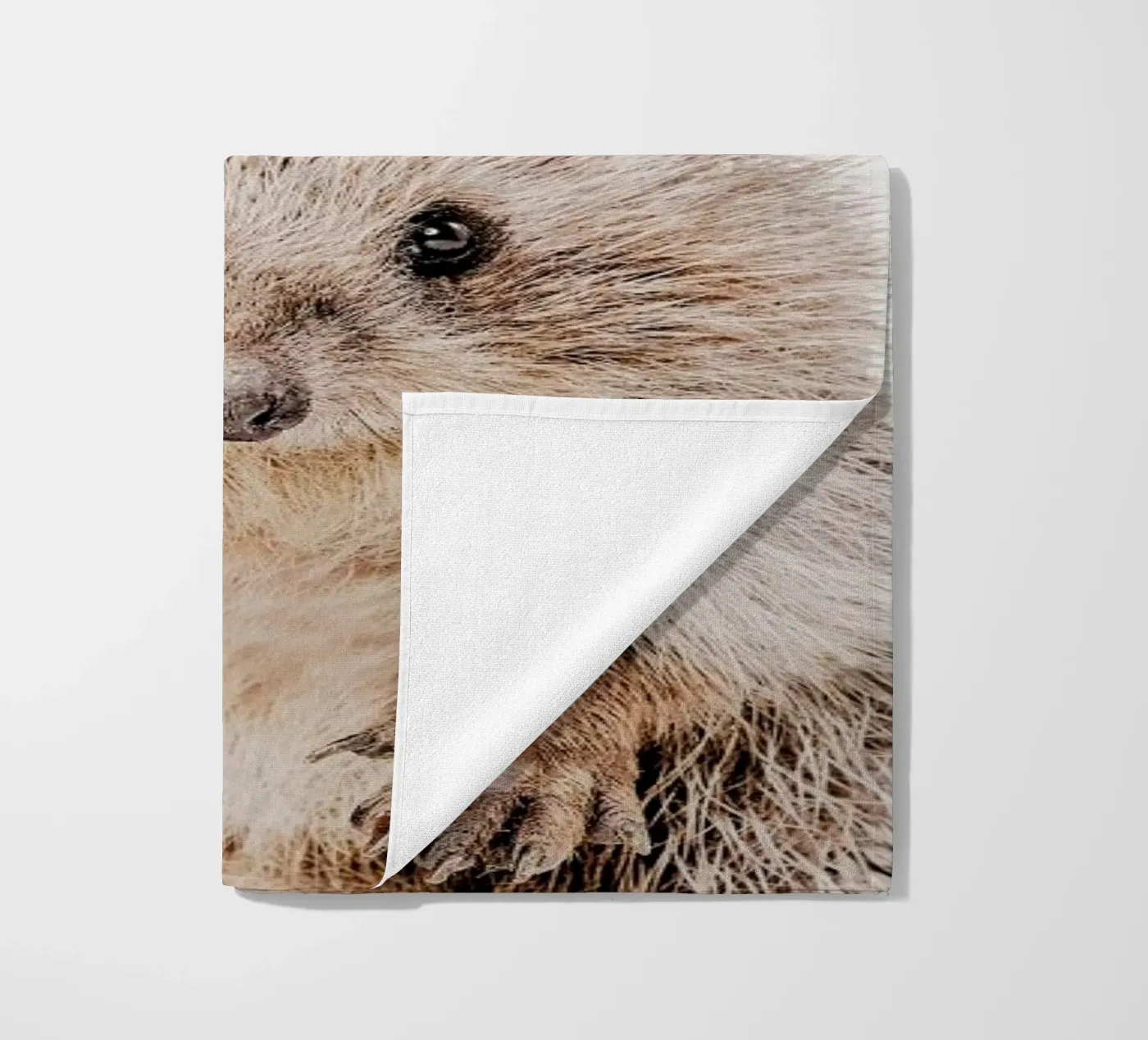 Hedgehog telo mare da Paws & Claws