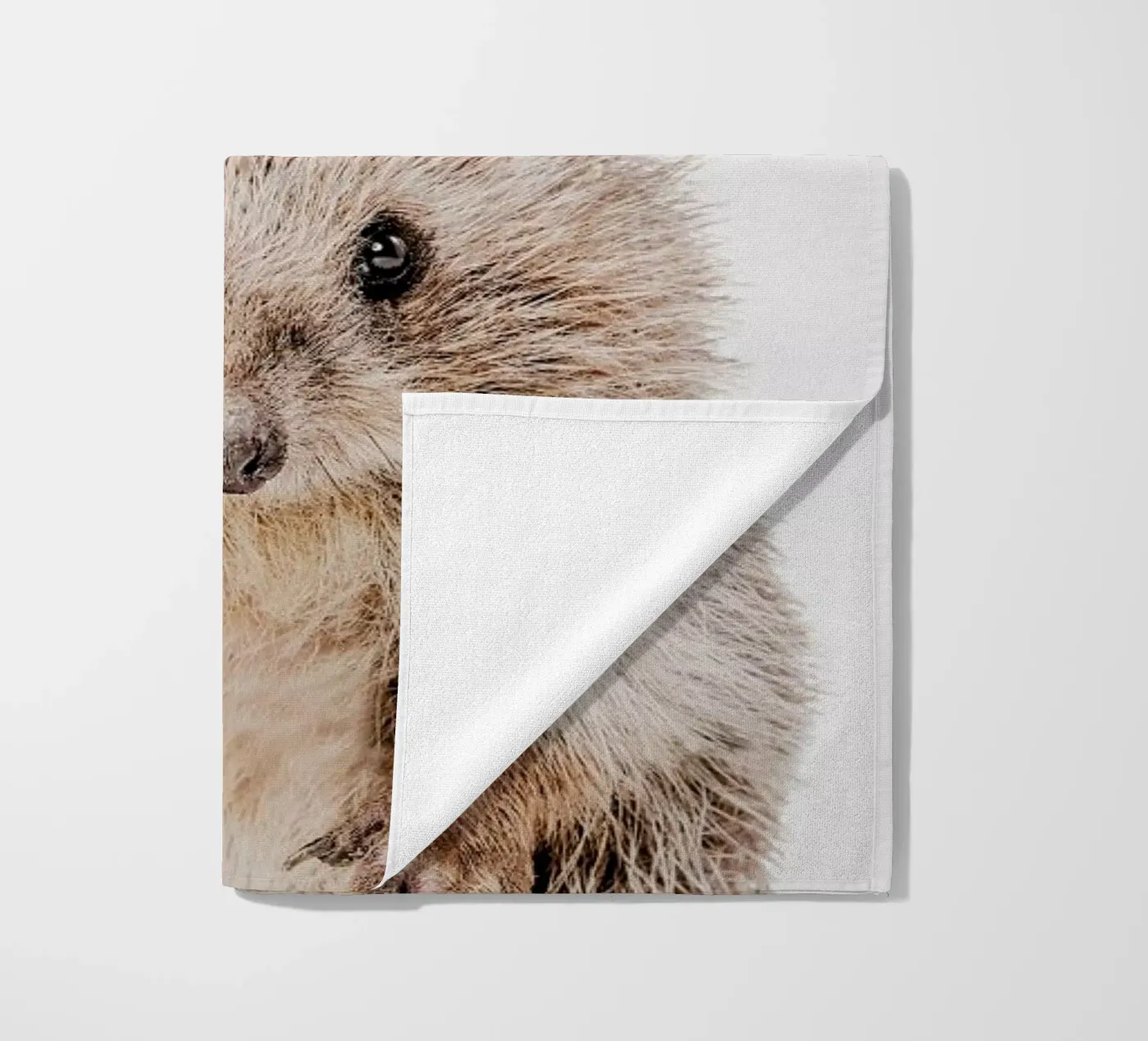 Hedgehog telo mare da Paws & Claws