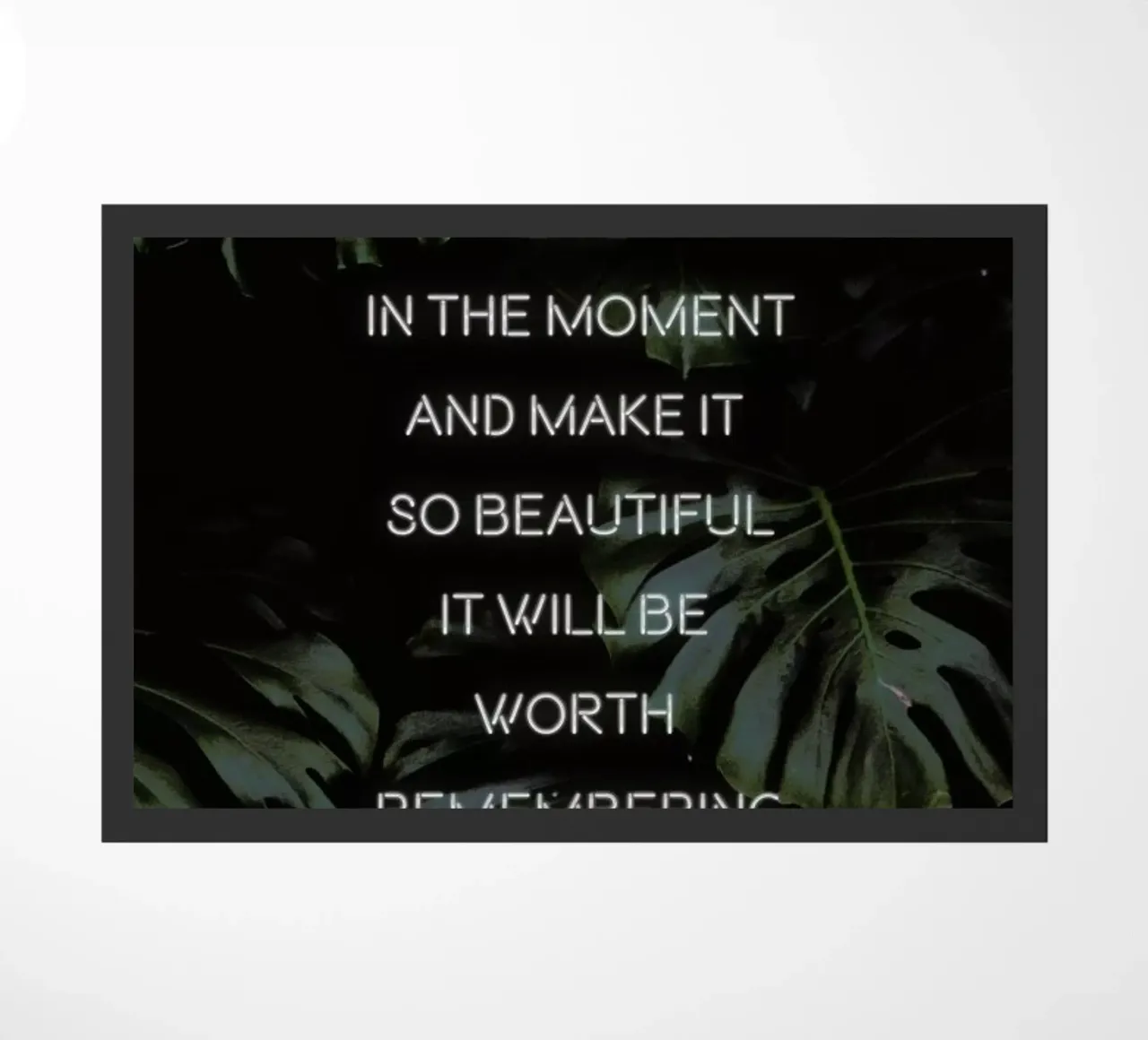 Live in the Moment zerbino da Oh Darling