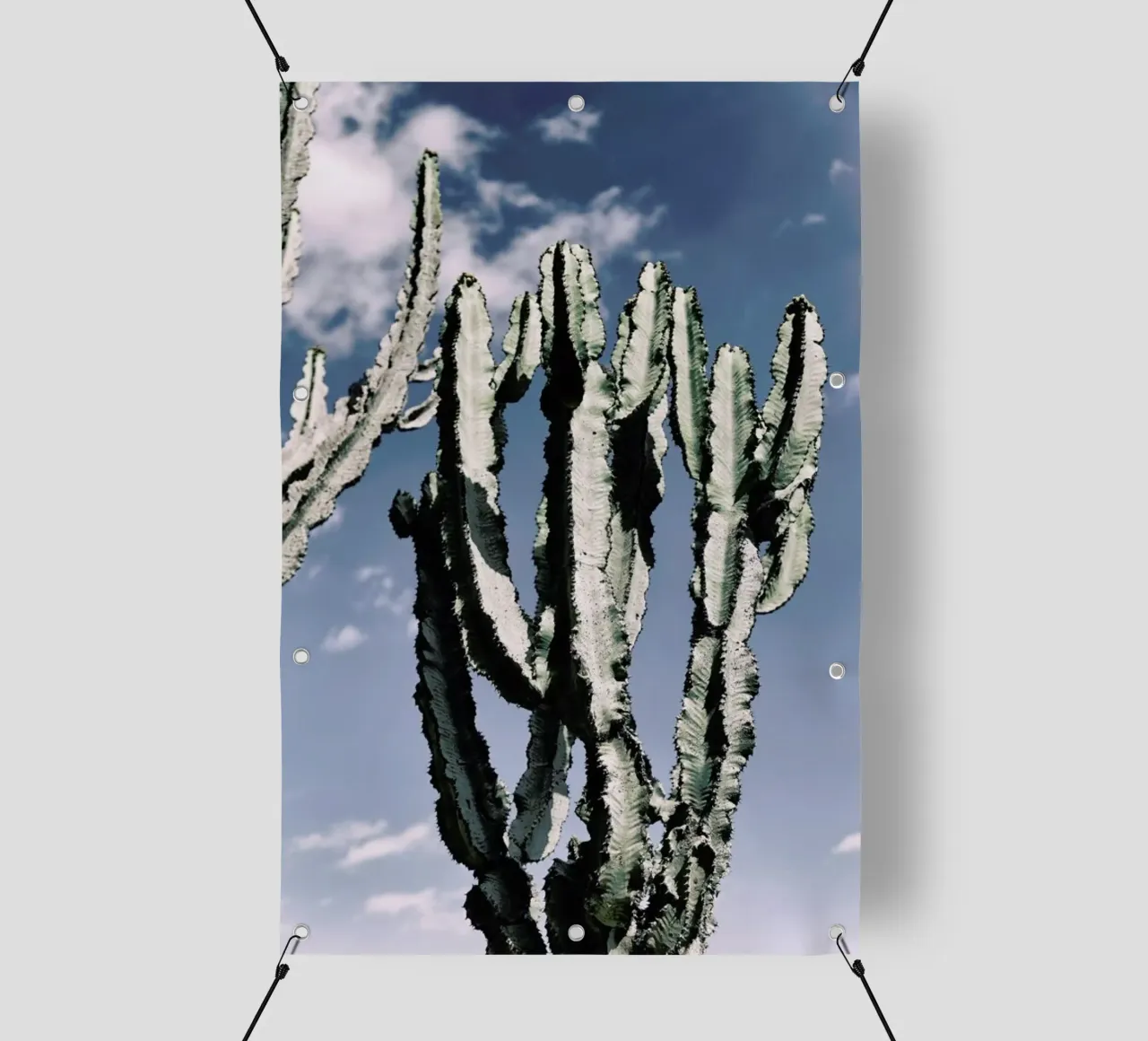 Radial telo in pvc da Flora & Fauna