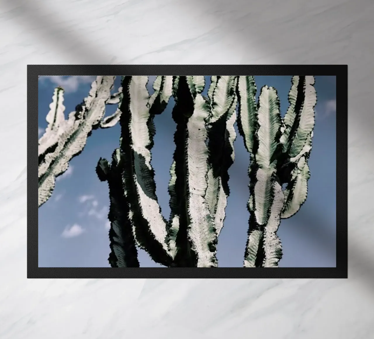 Radial zerbino da Flora & Fauna