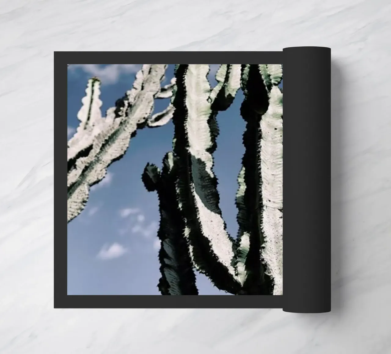 Radial zerbino da Flora & Fauna