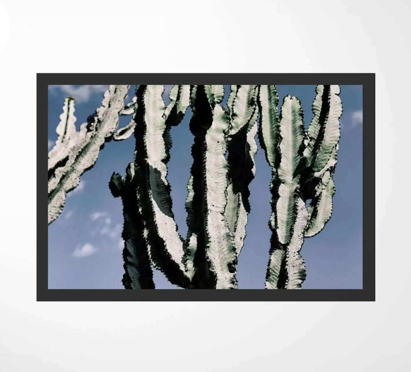 Radial Fußmatte von Flora & Fauna