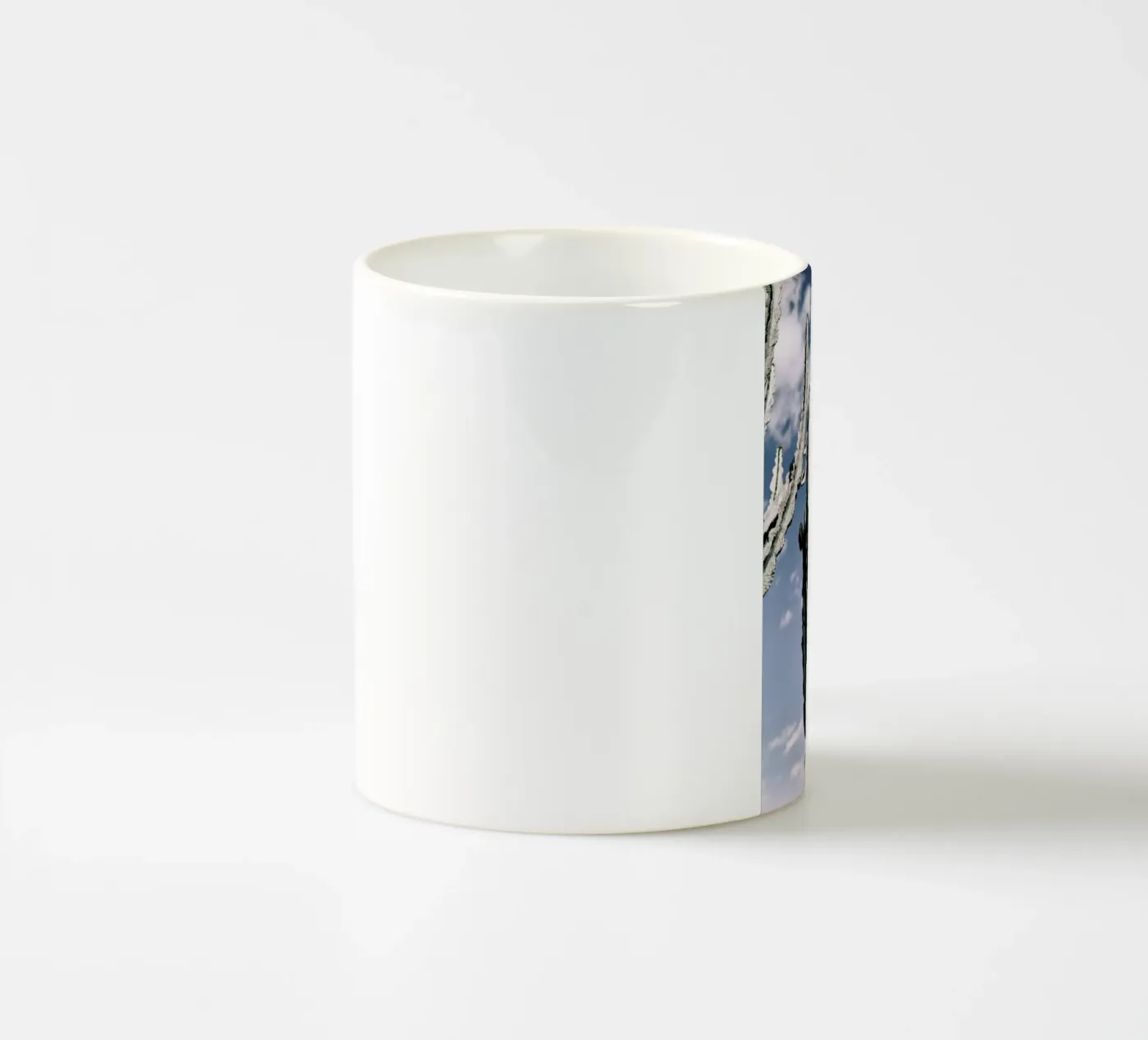 Radial ceramic mug by Flora & Fauna