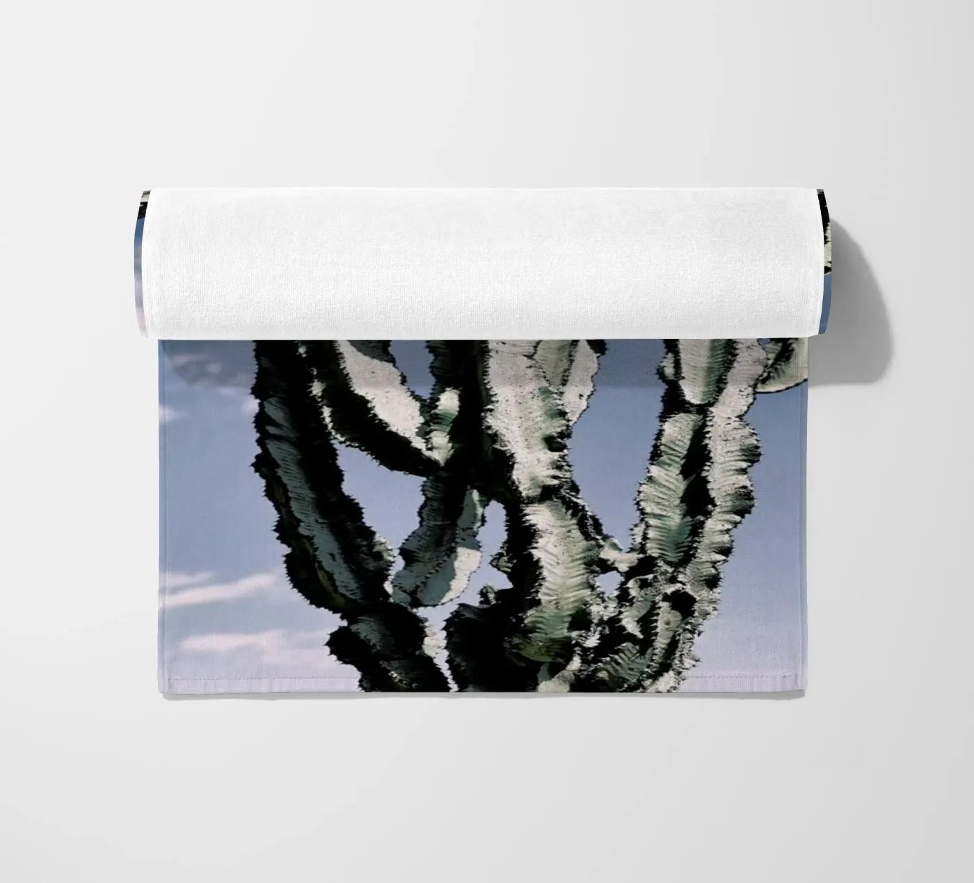 Radial telo mare da Flora & Fauna