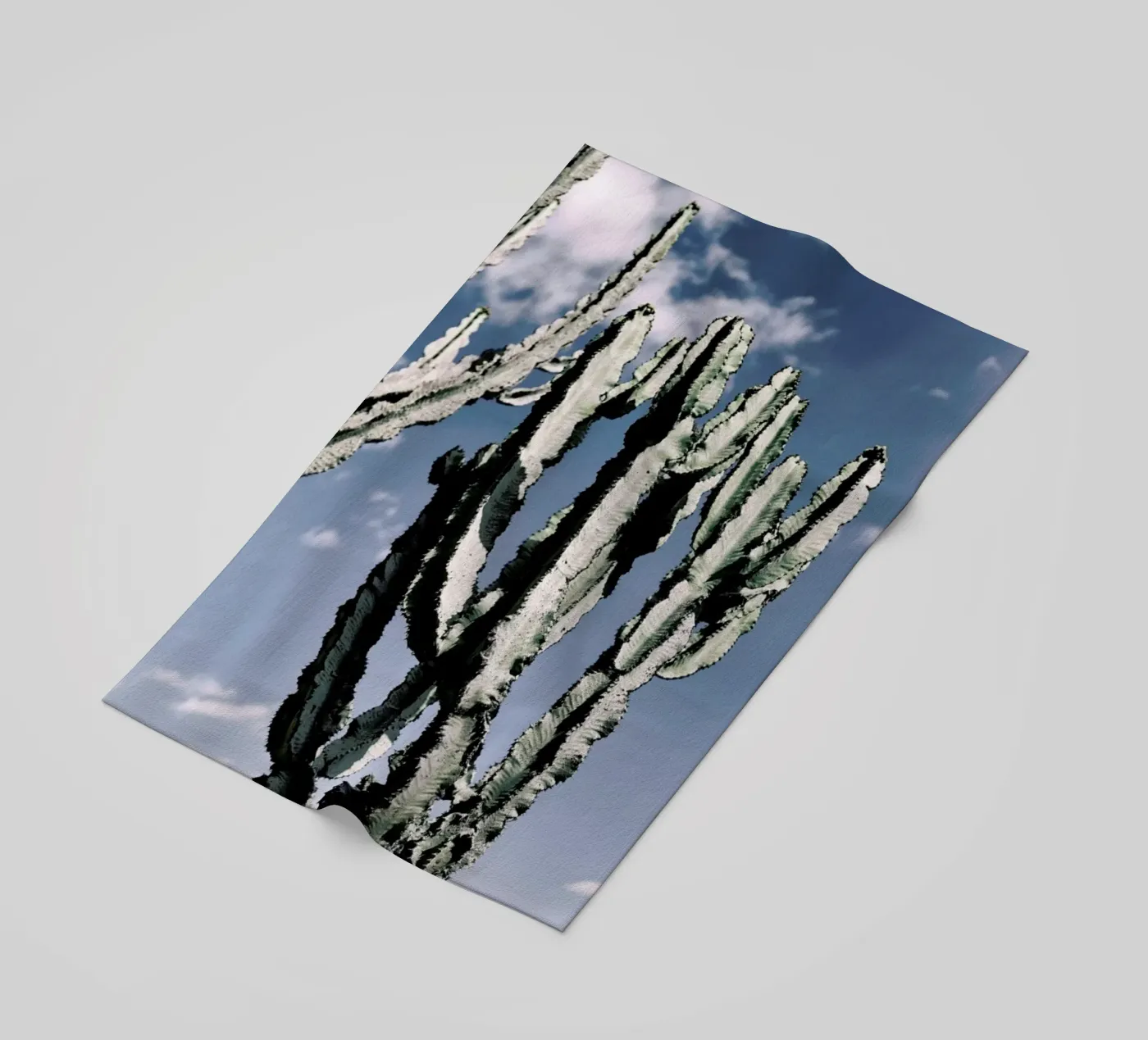 Radial telo mare da Flora & Fauna