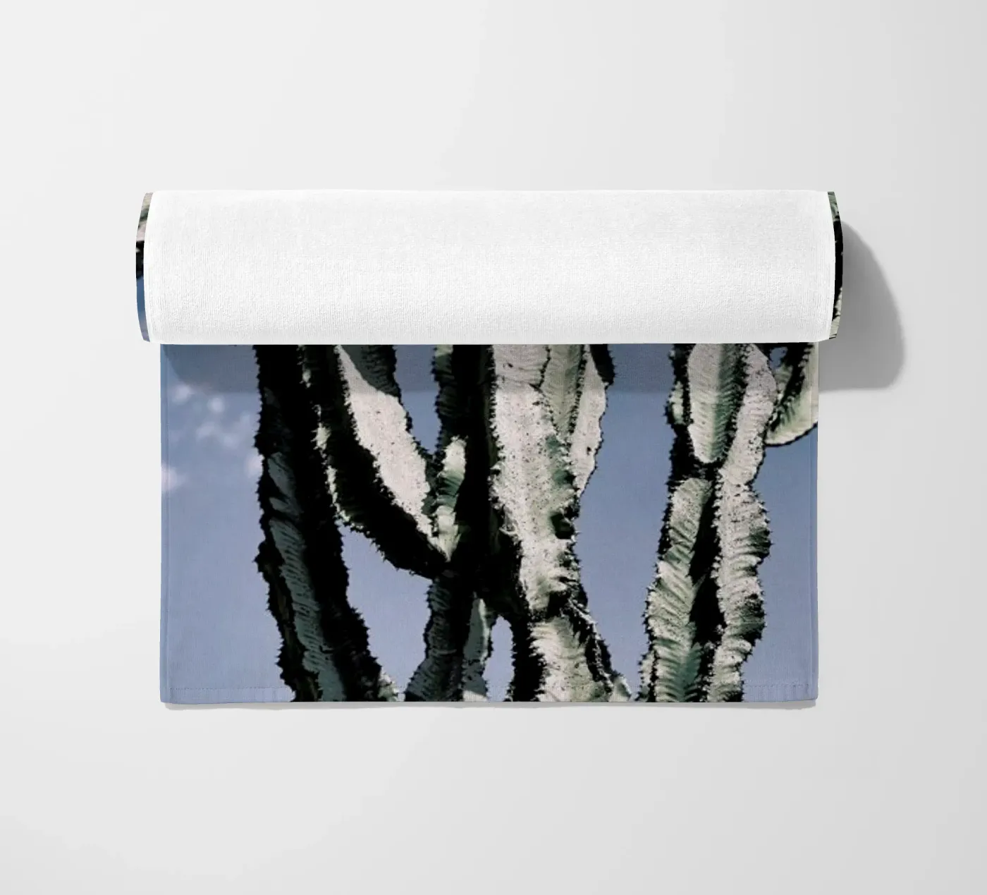 Radial telo mare da Flora & Fauna