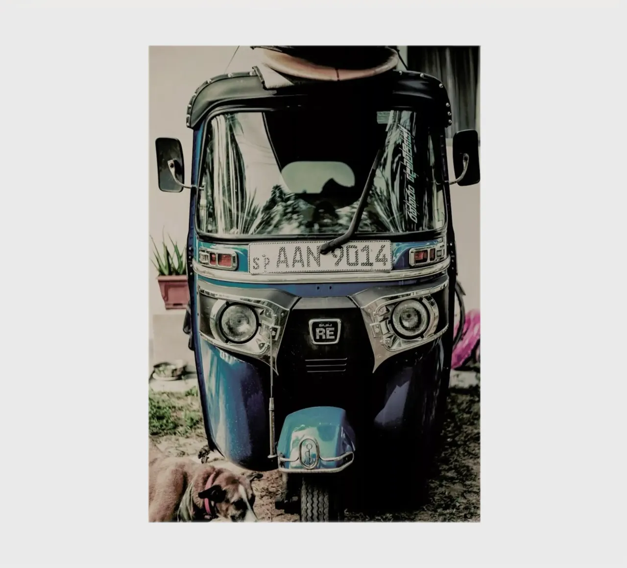Self Drive notebook by Shot By Clint