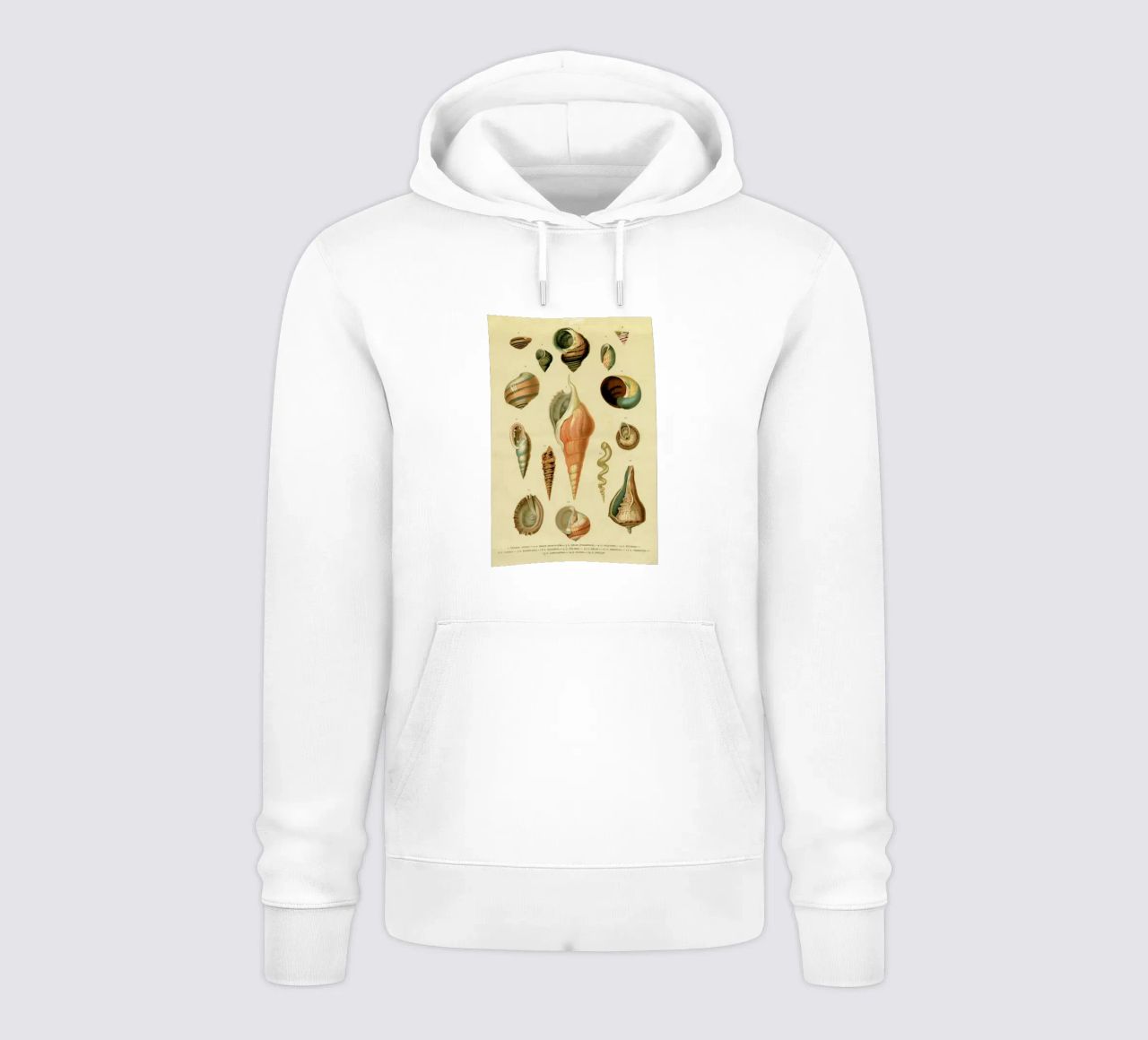 Mollusc Shells sudadera con capucha de Flora & Fauna
