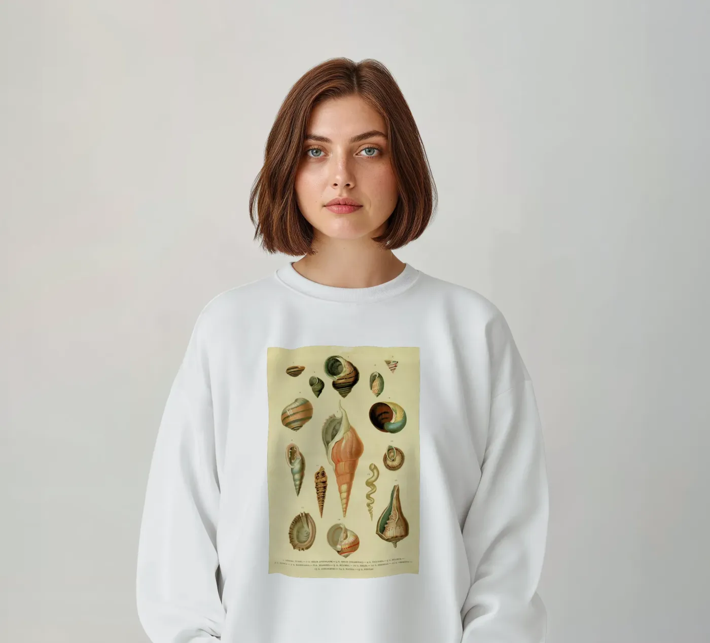 Mollusc Shells felpa da Flora & Fauna
