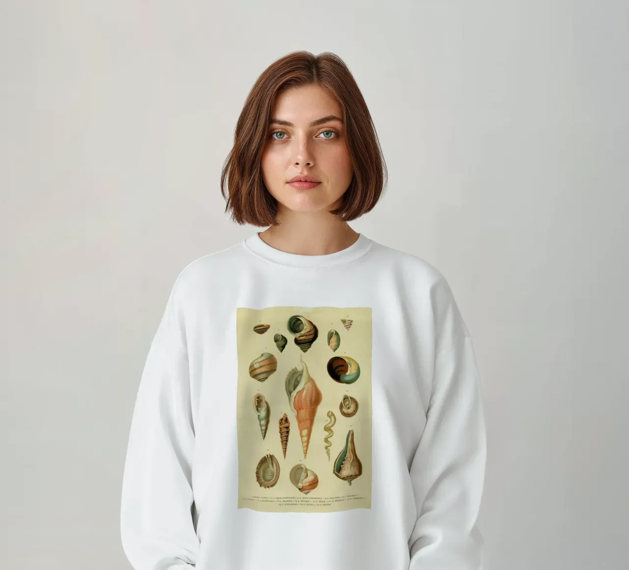 Mollusc Shells sweat de Flora & Fauna