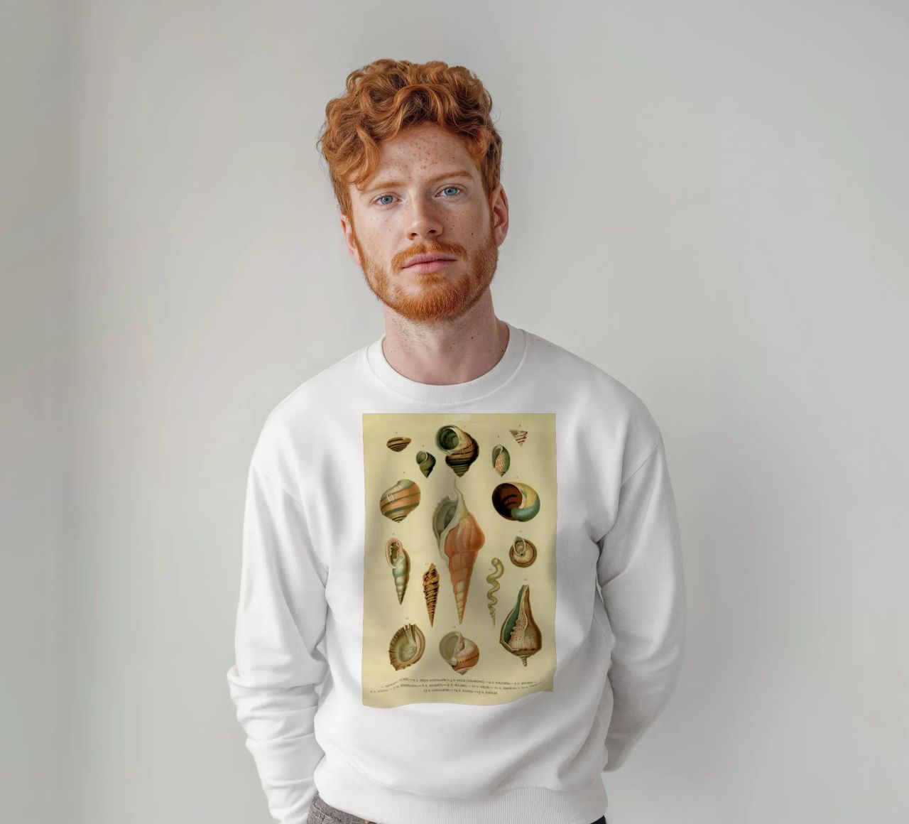 Mollusc Shells sudadera de Flora & Fauna