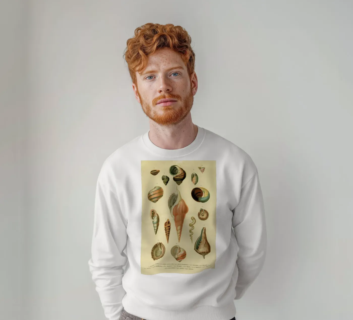 Mollusc Shells felpa da Flora & Fauna