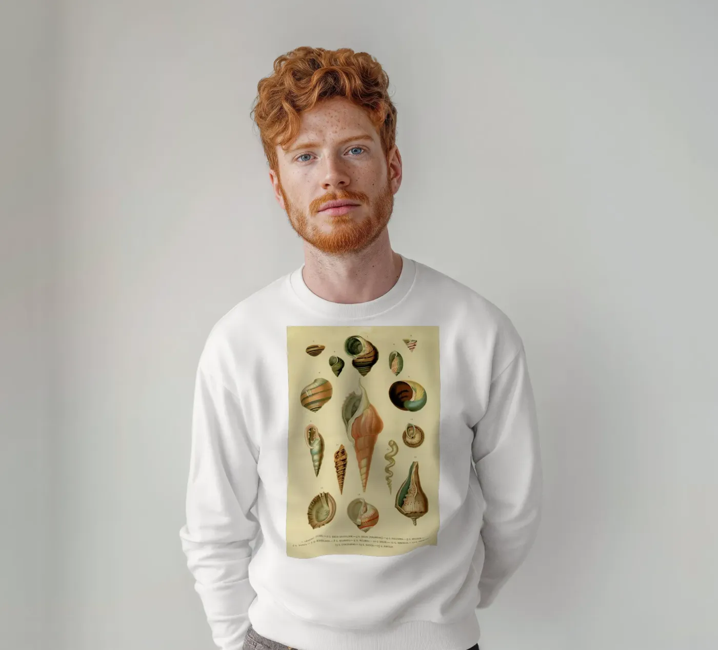 Mollusc Shells felpa da Flora & Fauna