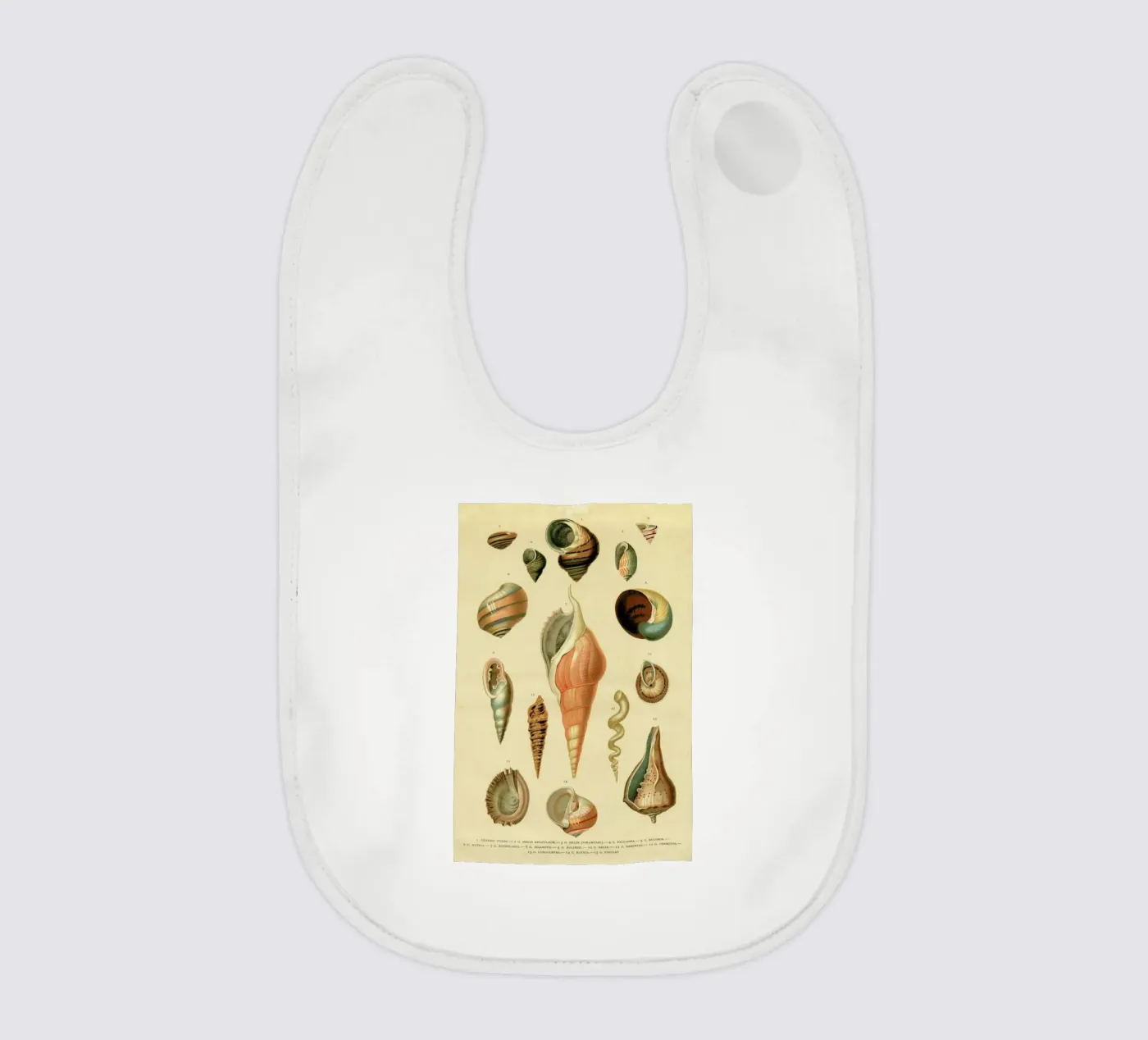 Mollusc Shells Babylätzchen von Flora & Fauna