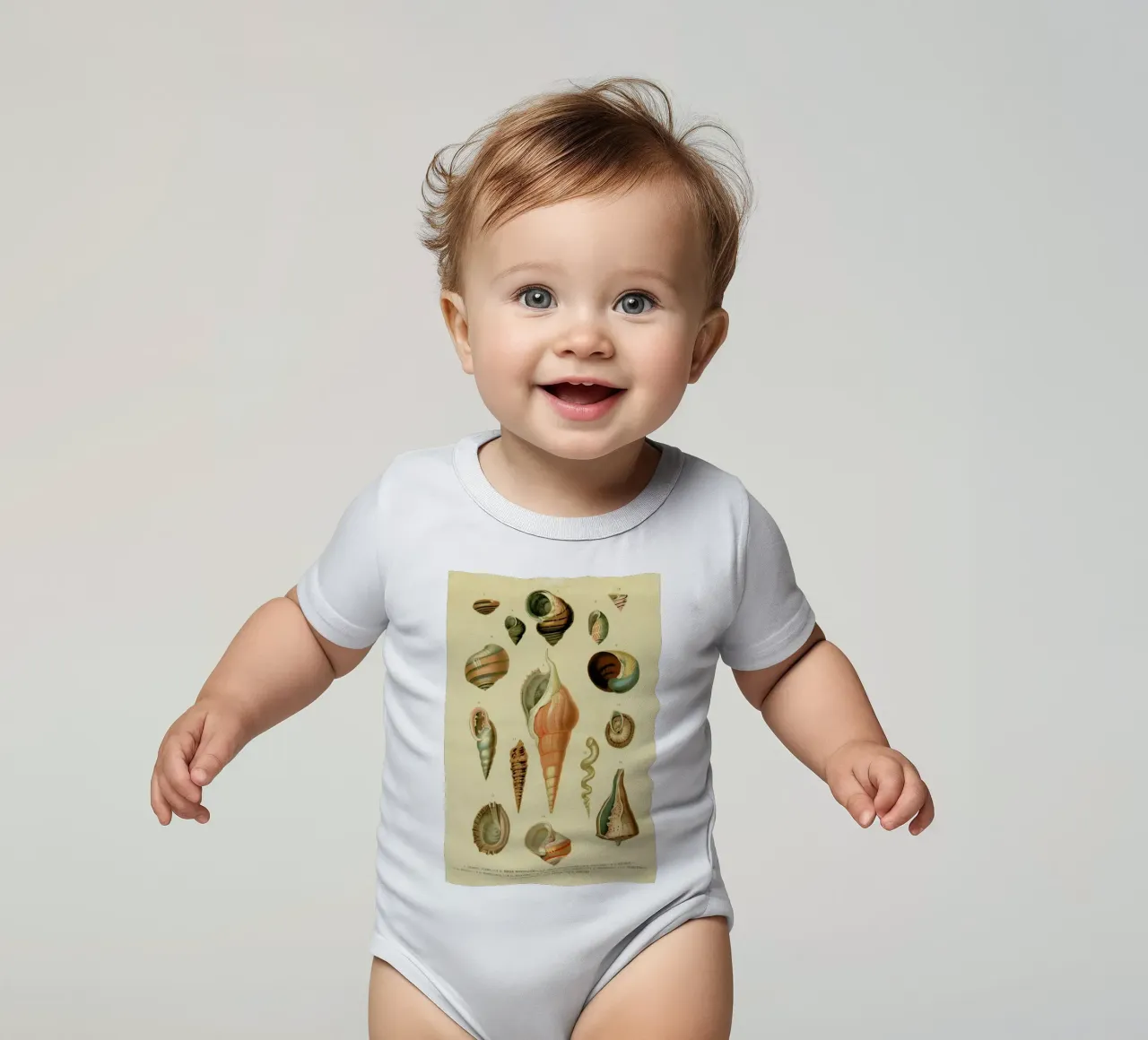 Mollusc Shells body neonato maniche corte da Flora & Fauna