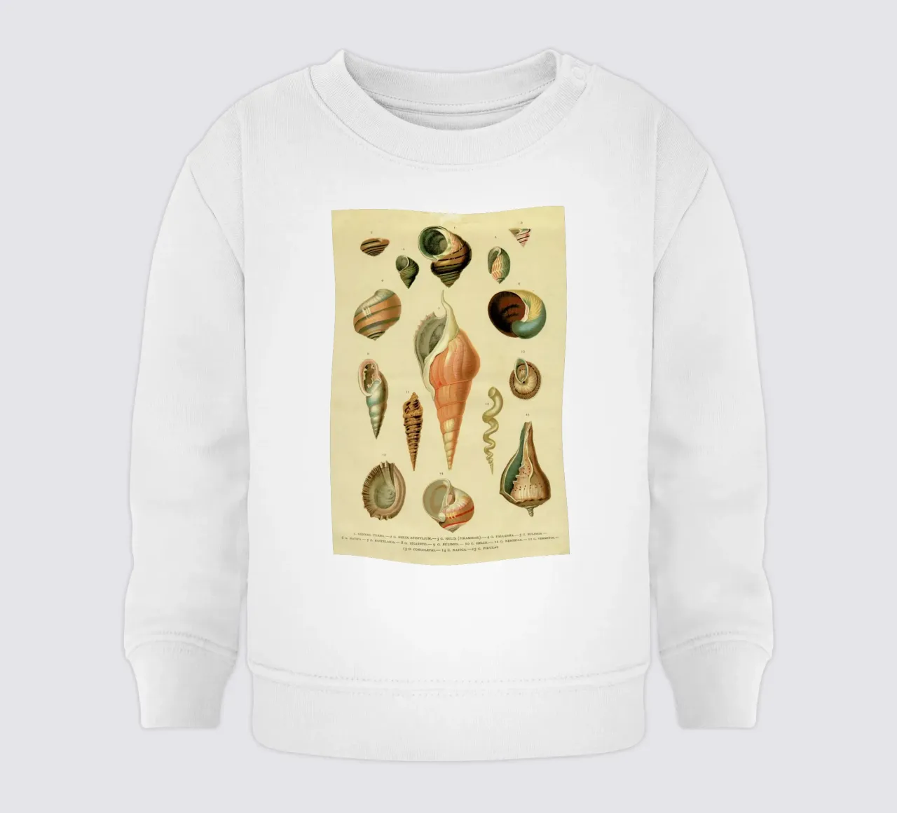 Mollusc Shells felpa neonato da Flora & Fauna