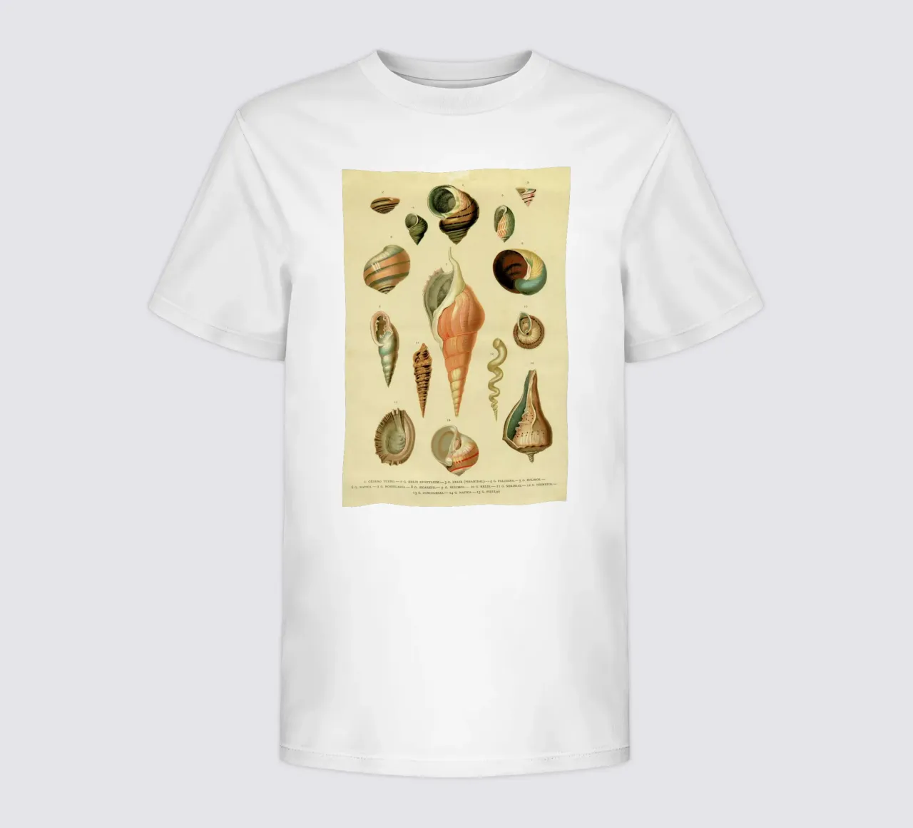 Mollusc Shells t-shirt bambini da Flora & Fauna