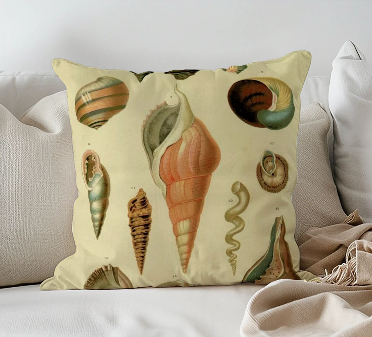 Mollusc Shells cuscino da Flora & Fauna