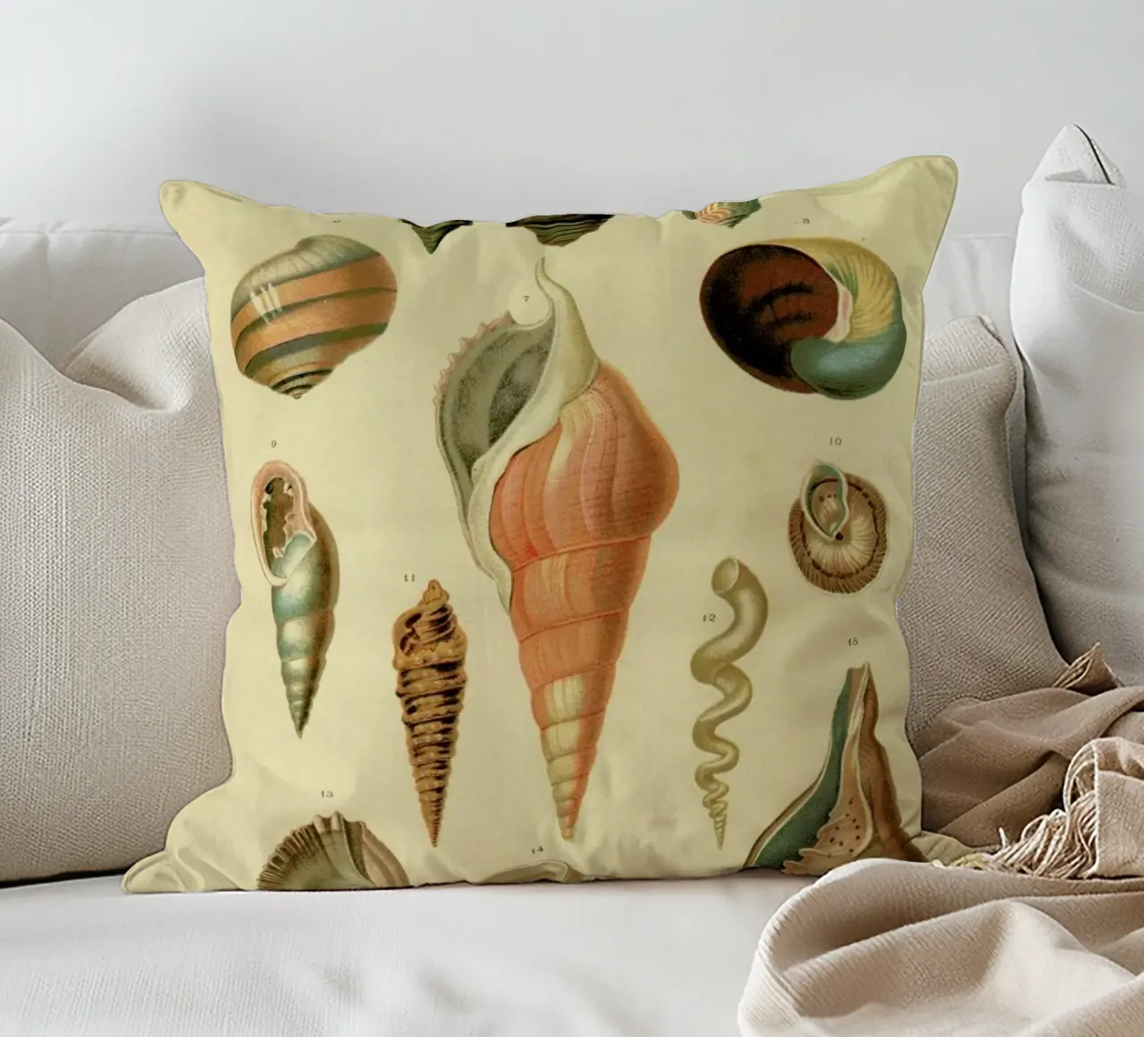 Mollusc Shells cuscino da Flora & Fauna