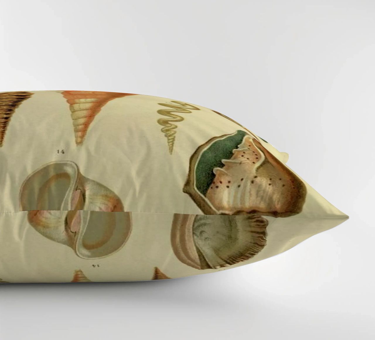 Mollusc Shells cuscino da Flora & Fauna