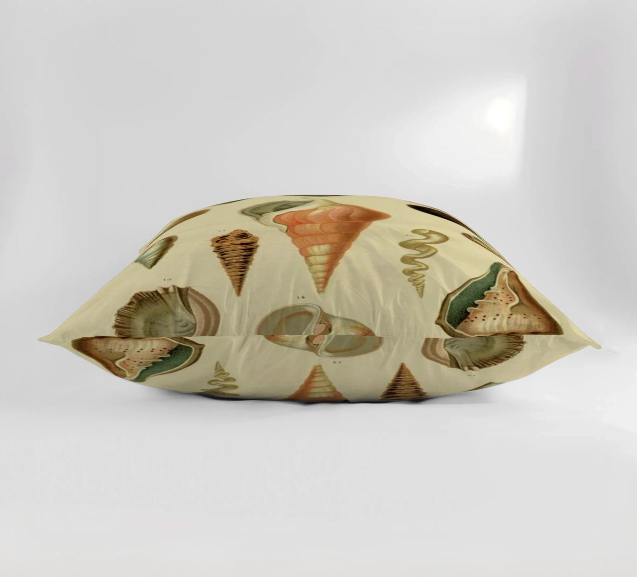 Mollusc Shells cuscino da Flora & Fauna