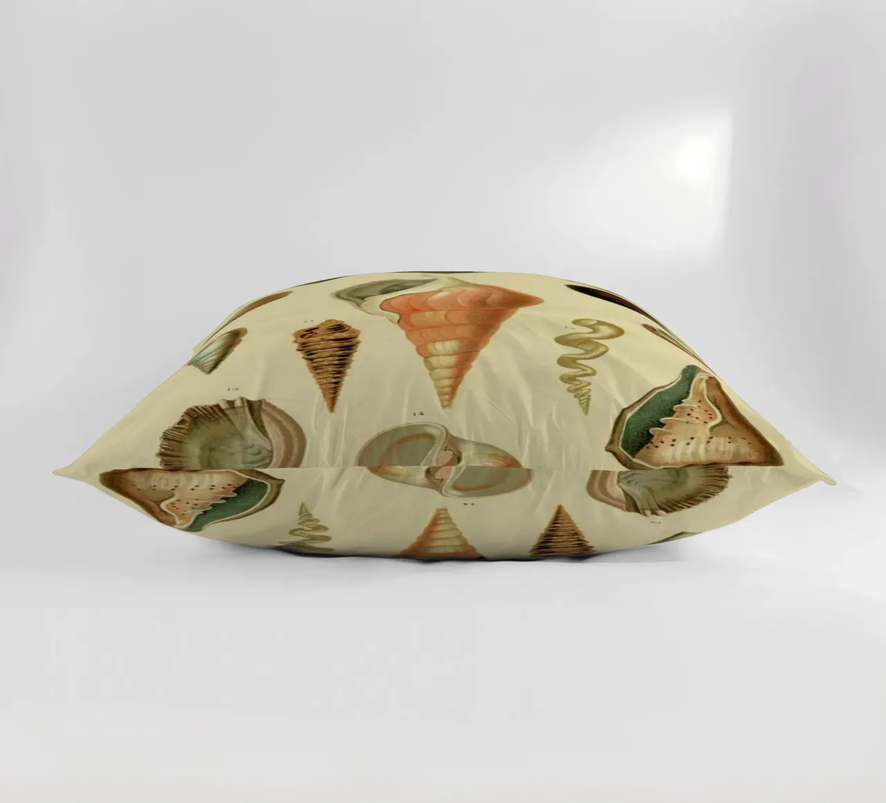 Mollusc Shells cuscino da Flora & Fauna