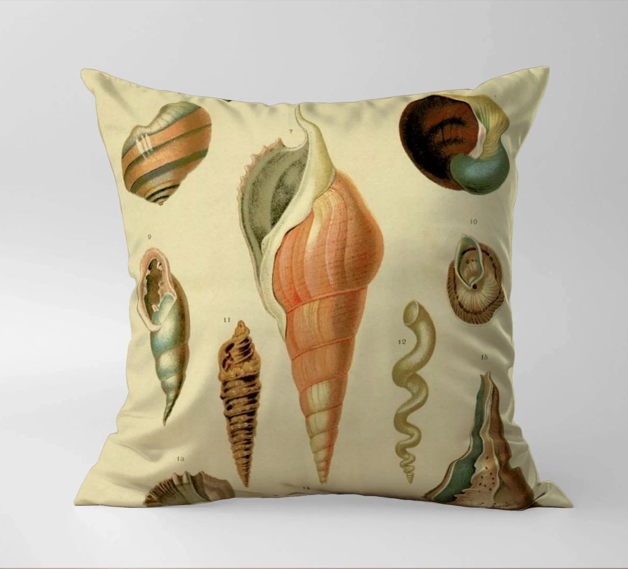 Mollusc Shells cuscino da Flora & Fauna