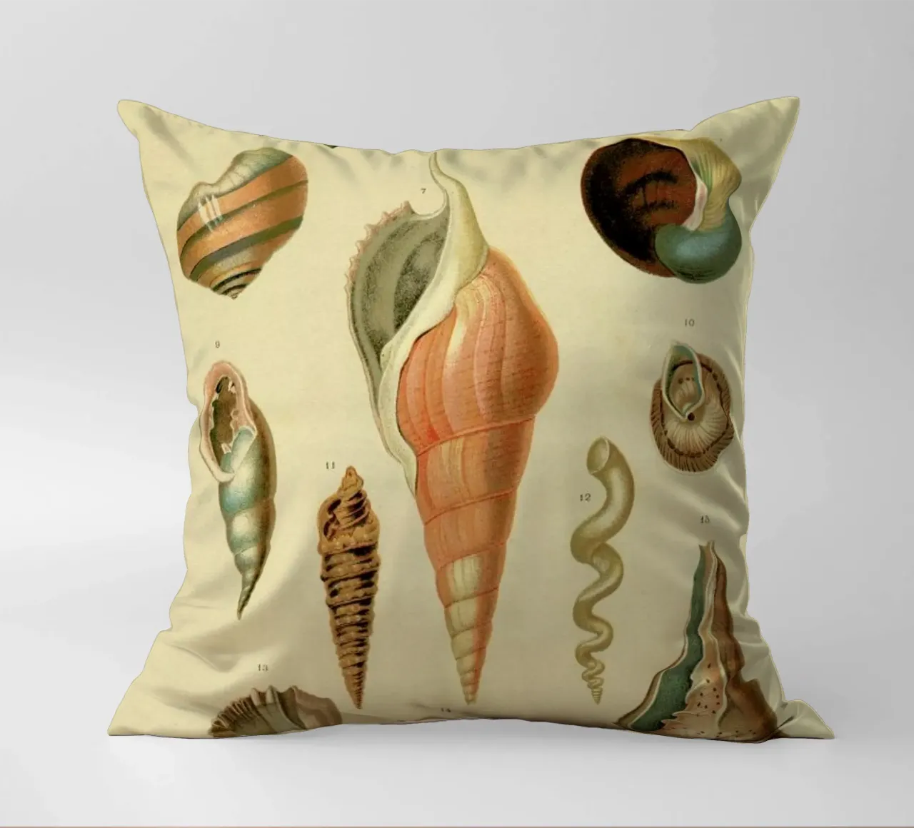 Mollusc Shells cuscino da Flora & Fauna