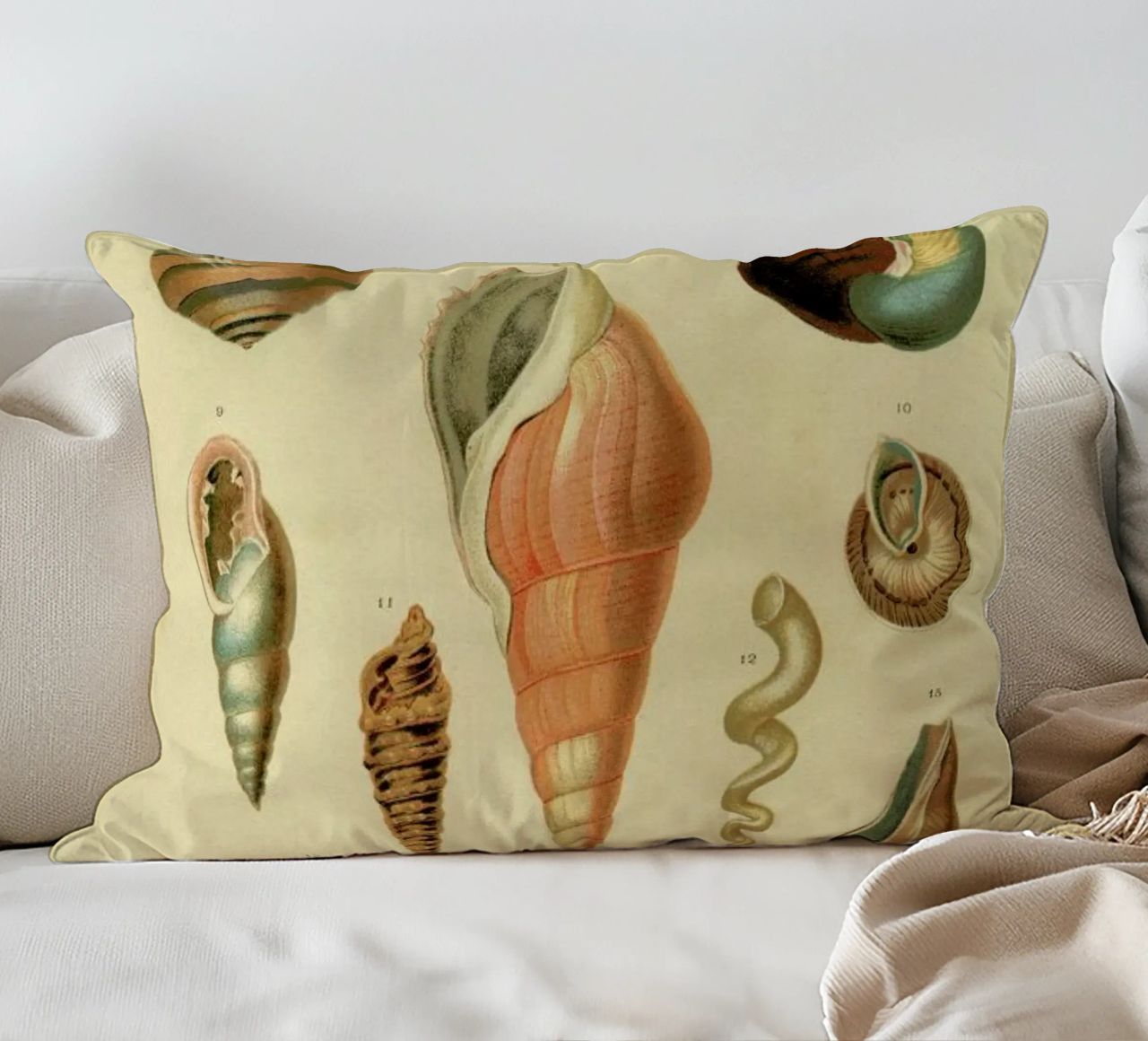Mollusc Shells cuscino da Flora & Fauna