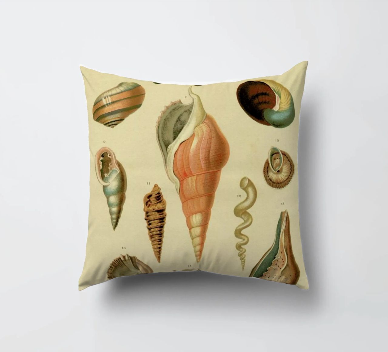 Mollusc Shells cuscino da Flora & Fauna